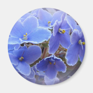 Blåafrikanska våld magnet