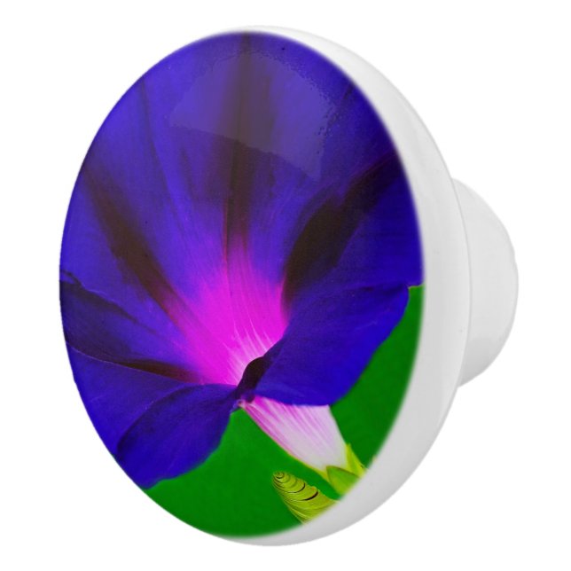 Blåaktig lila-rosa blomsterprakt  knopp (Höger)