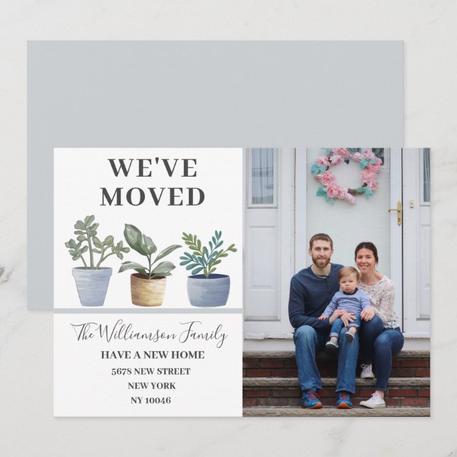 Blåannonsering för potatisplantor meddelande (Fram/baksida)