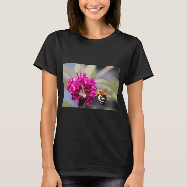 Blåbandad humla t shirt (Framsida)