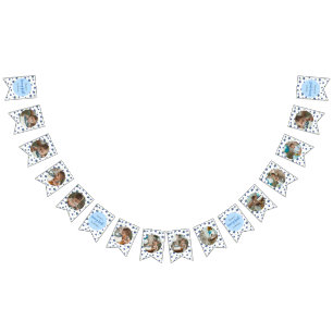 Blåbär födelsedag 12 månader fotomilsten vimplar