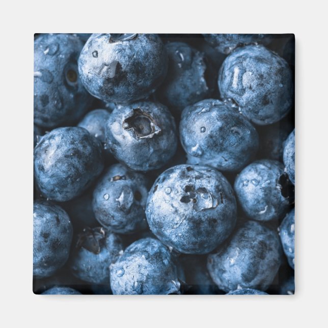 Blåbär Frukt Magnet (Framsidan)