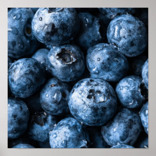 Blåbär Frukt Poster