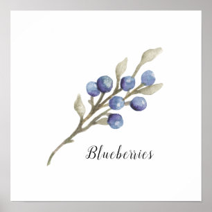Blåbär i vattenfärg Botaniska Poster