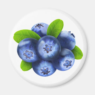 Blåbär Magnet