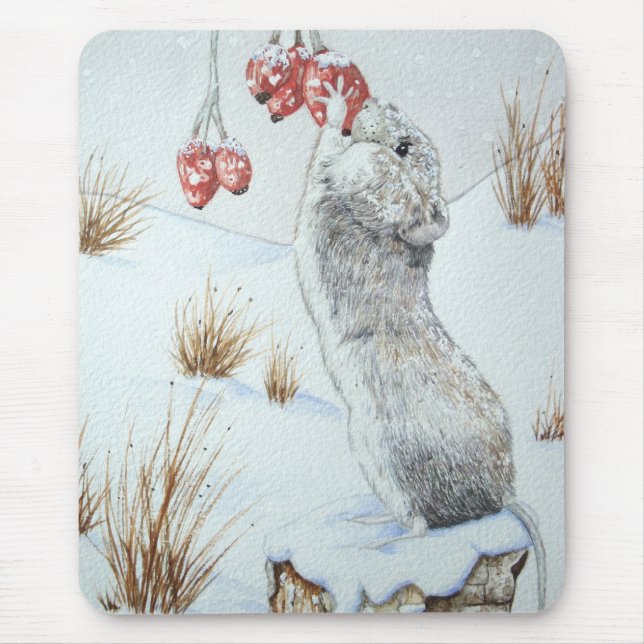 Blåbär med blått liv på vinterskalet snö musmatta (Framsidan)