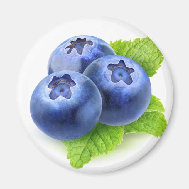 Blåbär och mintbär magnet (Framsidan)
