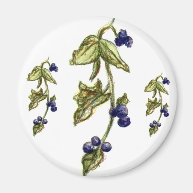 Blåbär på vinmagnet magnet (Framsidan)