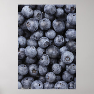 Blåbär Poster