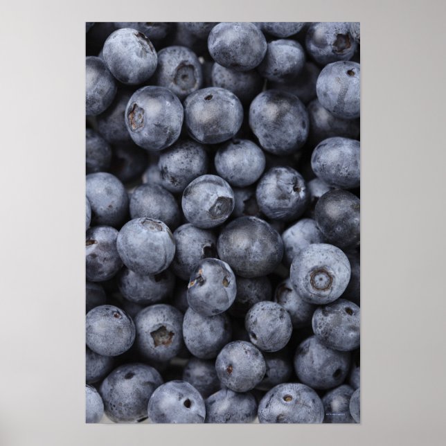 Blåbär Poster (Framsidan)