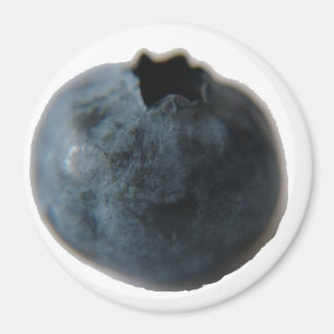 Blåbärmagnet Magnet