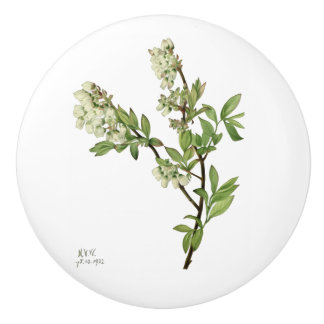 Blåbärsblomkeramikhjälp Knopp
