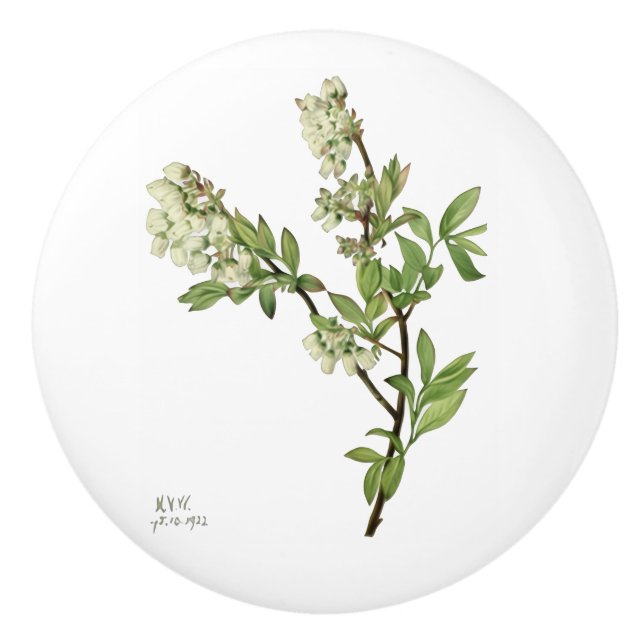 Blåbärsblomkeramikhjälp Knopp (Framsidan)
