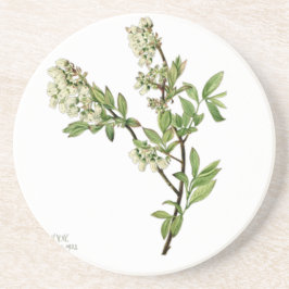 Blåbärsblomma  underlägg