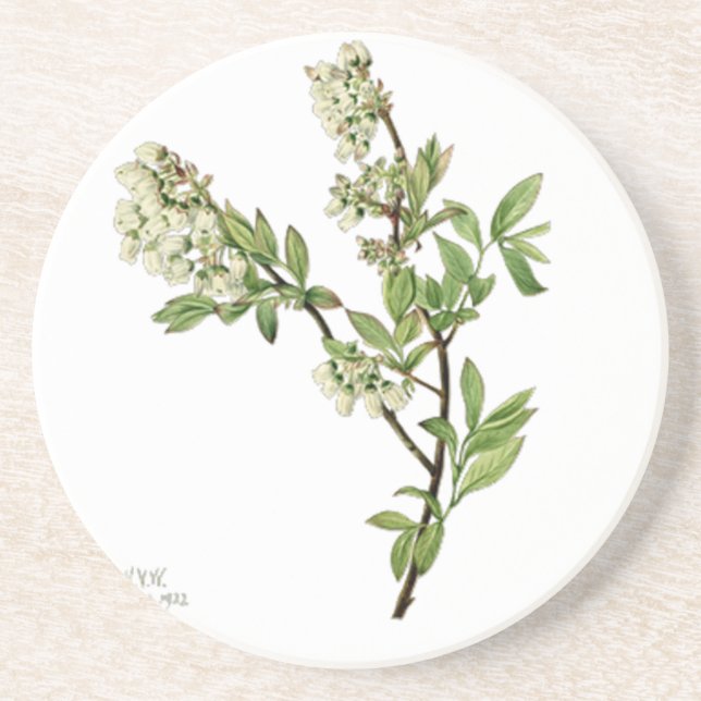 Blåbärsblomma  underlägg (Framsidan)