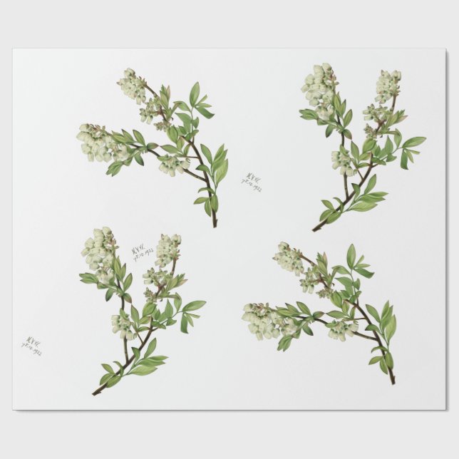 Blåbärsblomster inslagningspapper (Platt)