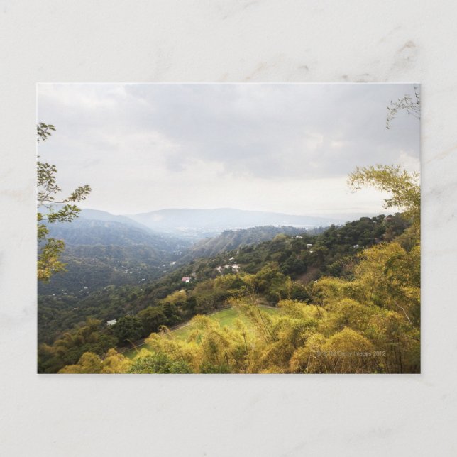 Blåberg över tittar Kingston Vykort (Framsida)