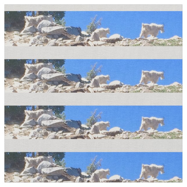 Blåbergsgetter Tyg (Närbild)