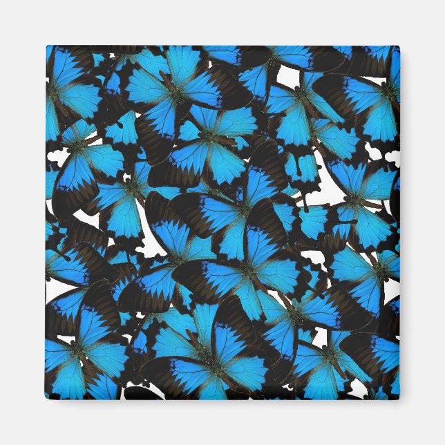 Blåbergssvansar Magnet (Framsidan)