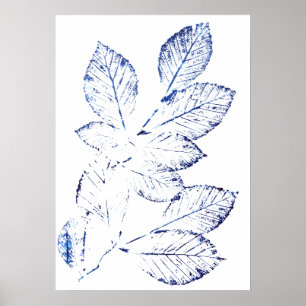 Blåbjörk i löv, tryckt 1 poster