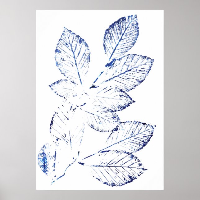 Blåbjörk i löv, tryckt 1 poster (Framsidan)