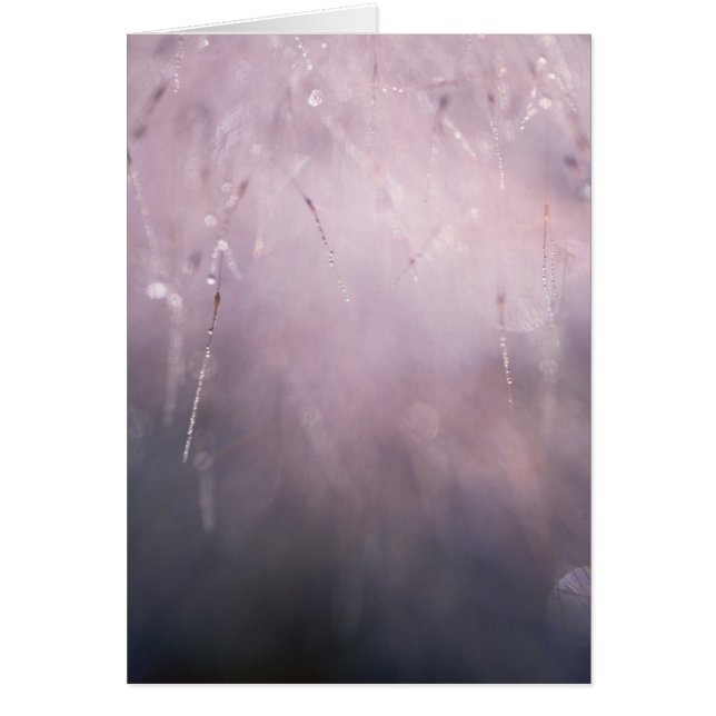 Blåblå bakgrund för abstraktens grusruta OBS kort (Framsidan)