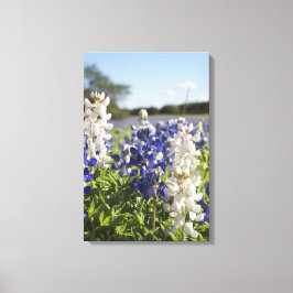 Blåblå och vita blåsor: Stretched Canvas Wall Art