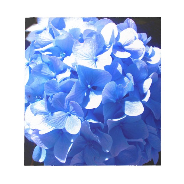 Blåblåa blommigtar (elegant blue hydrangeas) anteckningsblock (Framsida)