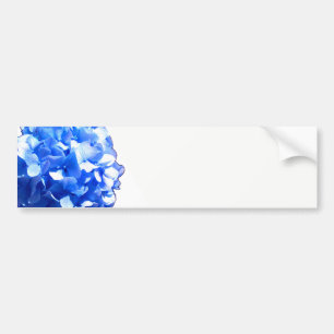 Blåblåa blommigtar (elegant blue hydrangeas) bildekal