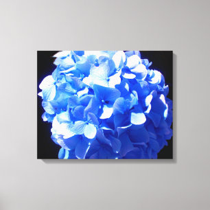 Blåblåa blommigtar (elegant blue hydrangeas) canvastryck