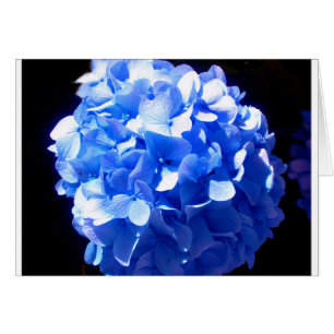 Blåblåa blommigtar (elegant blue hydrangeas) hälsningskort