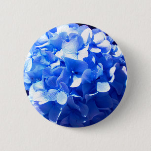 Blåblåa blommigtar (elegant blue hydrangeas) knapp
