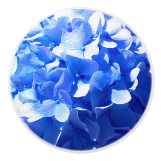Blåblåa blommigtar (elegant blue hydrangeas) knopp