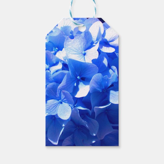 Blåblåa blommigtar (elegant blue hydrangeas) presentetikett (Framsidan)