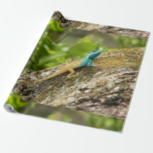 Blåbläckad ödla Mystaceus Presentpapper