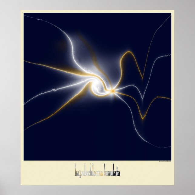 Blåbläckfisk av ring poster (Framsidan)