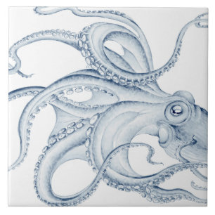 Blåbläckfisk Cephalopod Kraken Bläck Kakelplatta