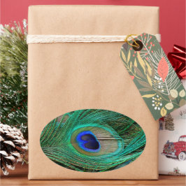 Blåbläckfisk Ovalt Klistermärke