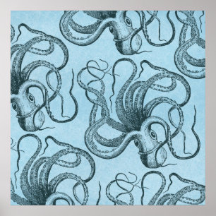 Blåbläckfisk Poster