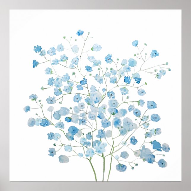 Blåblått Baby Utandning Bouquet gypsophila Poster (Framsidan)