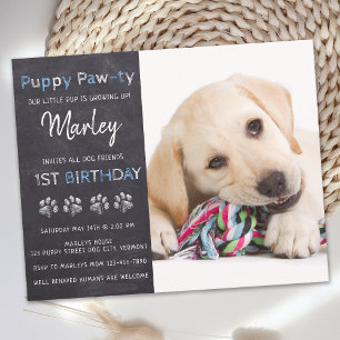 Blåblått Hund för puppy Pawty Chalkboard