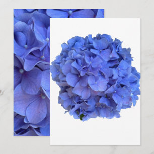 Blåblåvingade vattenvägar för blommigt av periwink inbjudningar