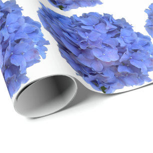 Blåblåvingade vattenvägar för blommigt av periwink presentpapper