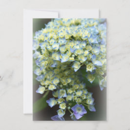 Blåblomma, platta tackkort tack kort