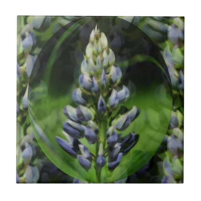 Blåblommig Abstrakt av Lupine Flower Art Kakelplatta (Framsidan)