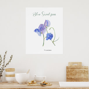 Blåblommor, botaniska vattenfärger poster