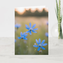 Blåblommor i Fält för sympati Kort