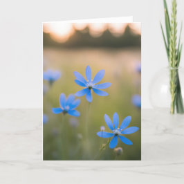 Blåblommor i Fält för sympati Kort