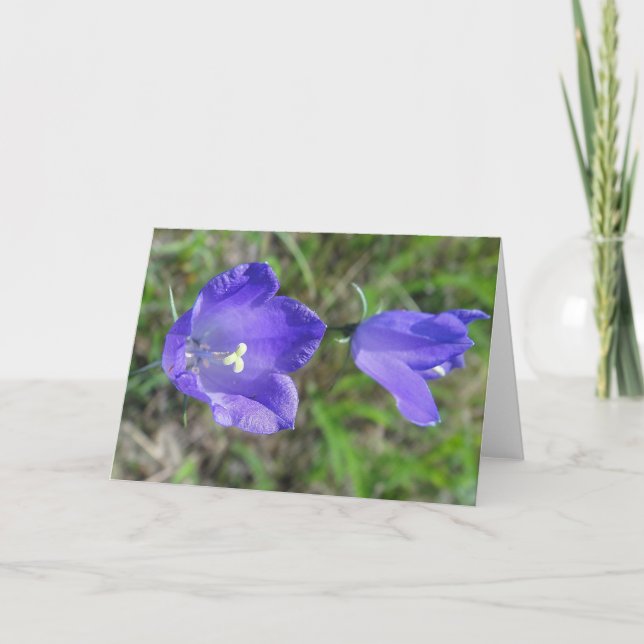 Blåblommor i hälsning karta, tomma kort (Framsida)
