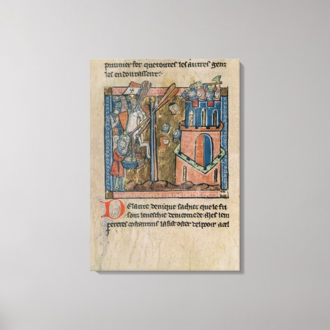 Blåbombard Nicaea med huvud 1097 Canvastryck (Framsida)